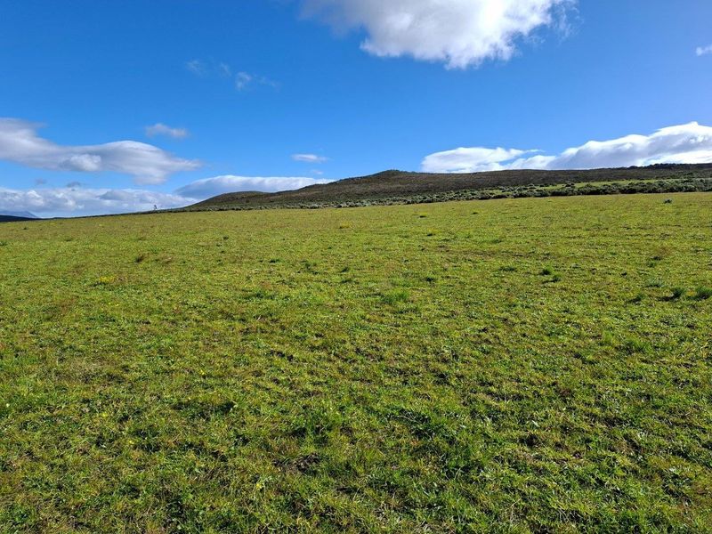Farm For Sale in Riversdale Rural, Riversdale - Photo 5