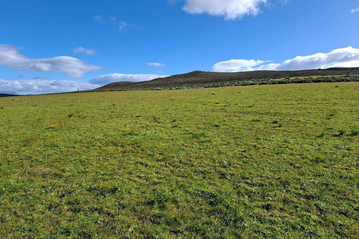 Farm For Sale in Riversdale Rural, Riversdale - Photo 5