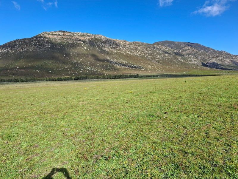 Farm For Sale in Riversdale Rural, Riversdale - Photo 4