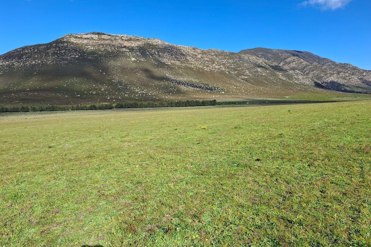 Farm For Sale in Riversdale Rural, Riversdale - Photo 4