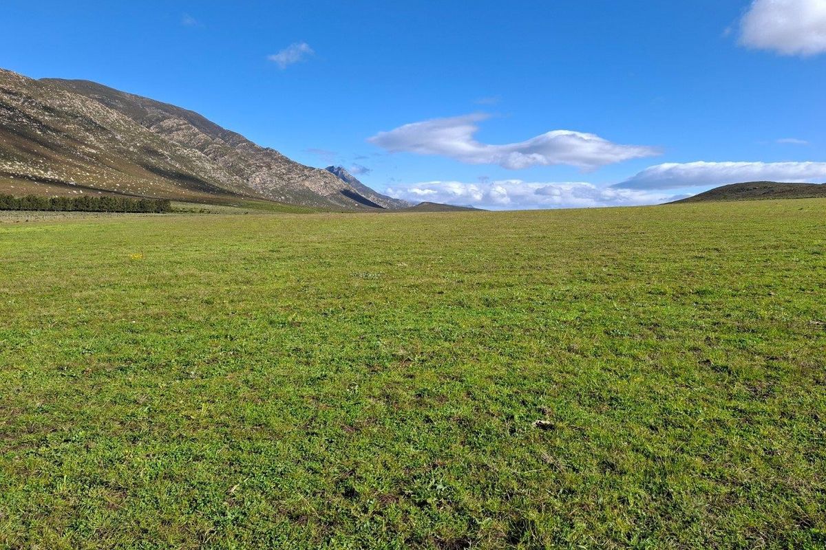 Farm For Sale in Riversdale Rural, Riversdale - Photo 2