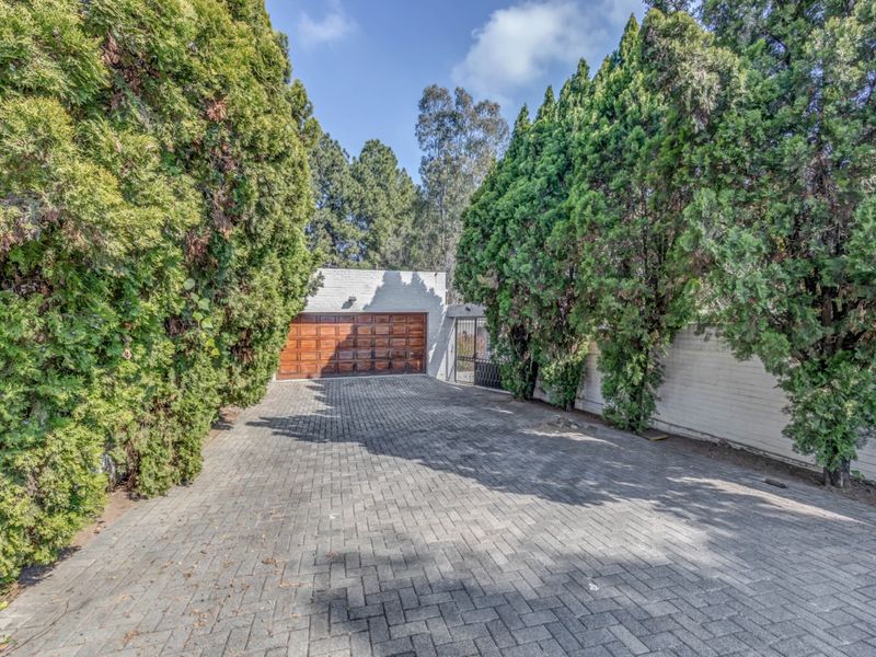 A paved driveway leading to a wooden garage door, flanked by mature evergreen trees and a white brick boundary wall.