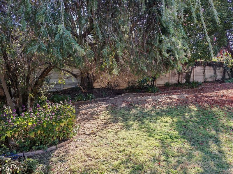 Rare Schachat Cullum Gem on a Massive Stand - Endless Potential in Prime Olivedale - Photo 4