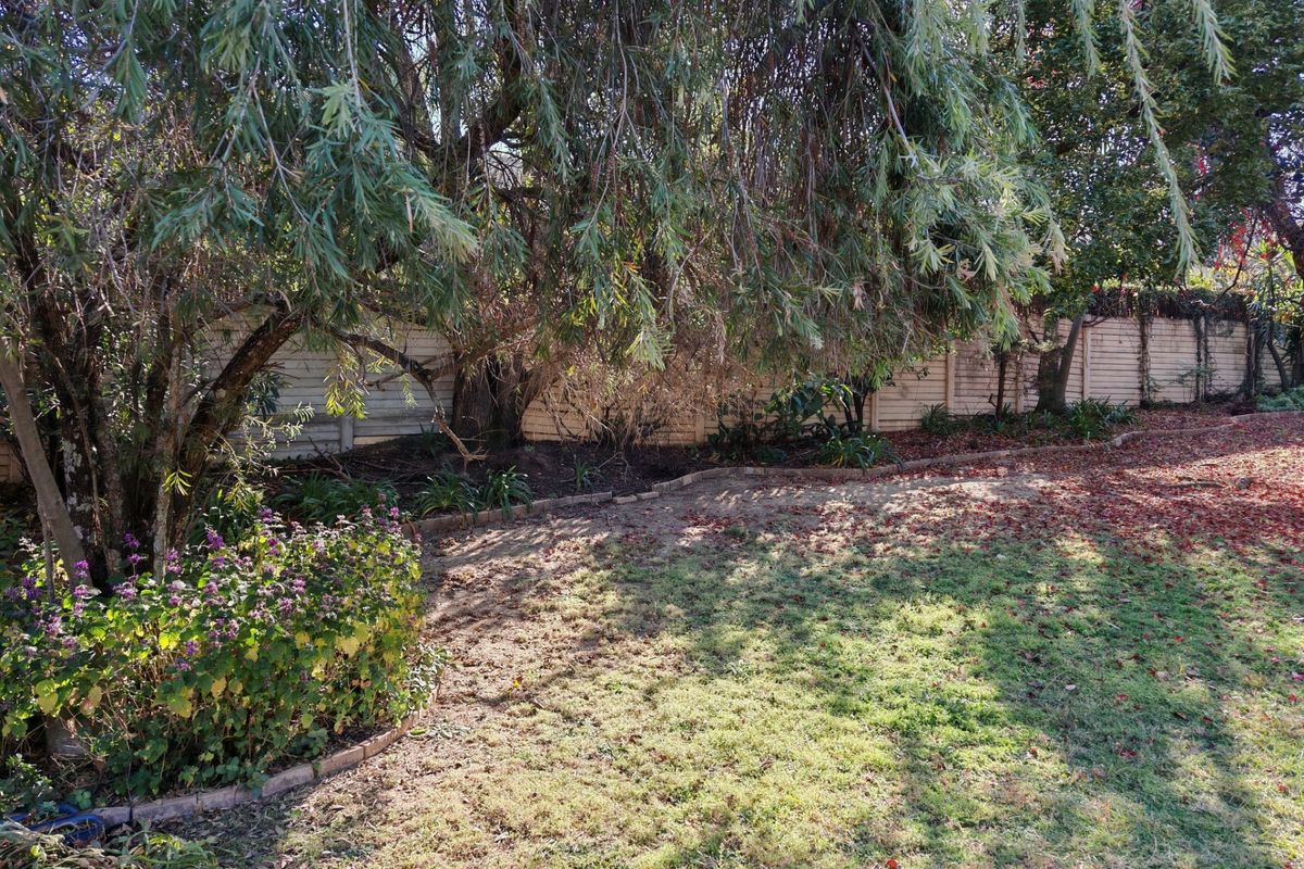 Rare Schachat Cullum Gem on a Massive Stand - Endless Potential in Prime Olivedale - Photo 4