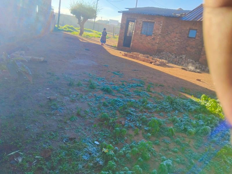Etwatwa fix me property - Photo 6