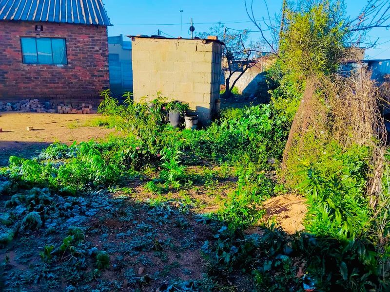 Etwatwa fix me property - Photo 3