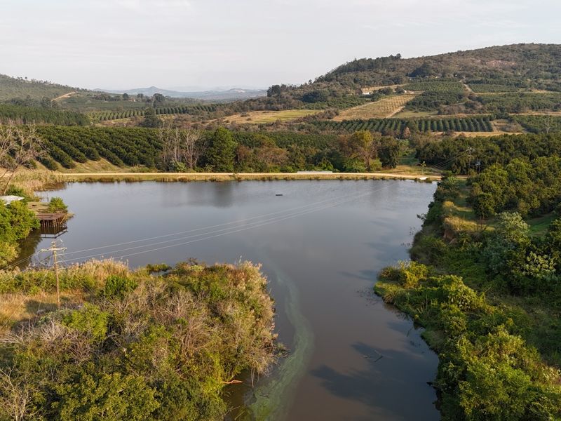 Premier Macadamia Estate near Kruger National Park - Photo 8