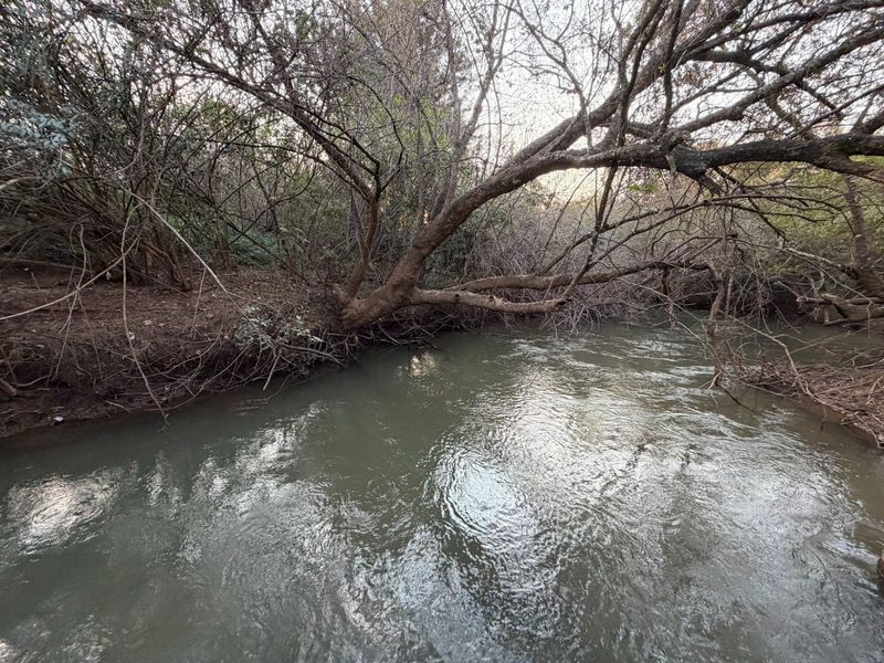 Premier Macadamia Estate near Kruger National Park - Photo 6