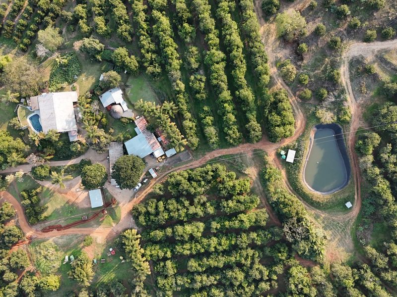 Premier Macadamia Estate near Kruger National Park - Photo 10