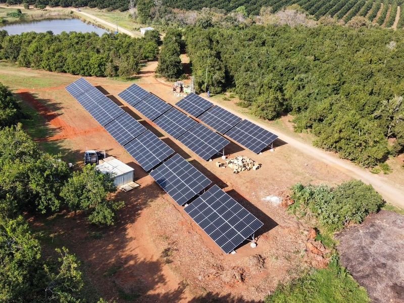 Premier Macadamia  Estate (80ha orchards) near Kruger National Park - Photo 7
