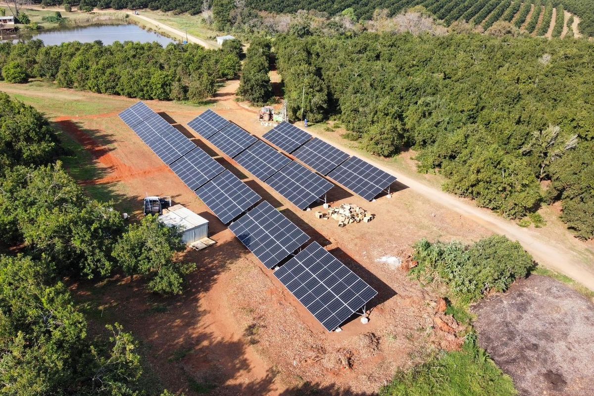 Aerial view of a large-scale ground-mounted solar panel array situated within a rural farm setting, featuring extensive orchard surroundings and a small dam.