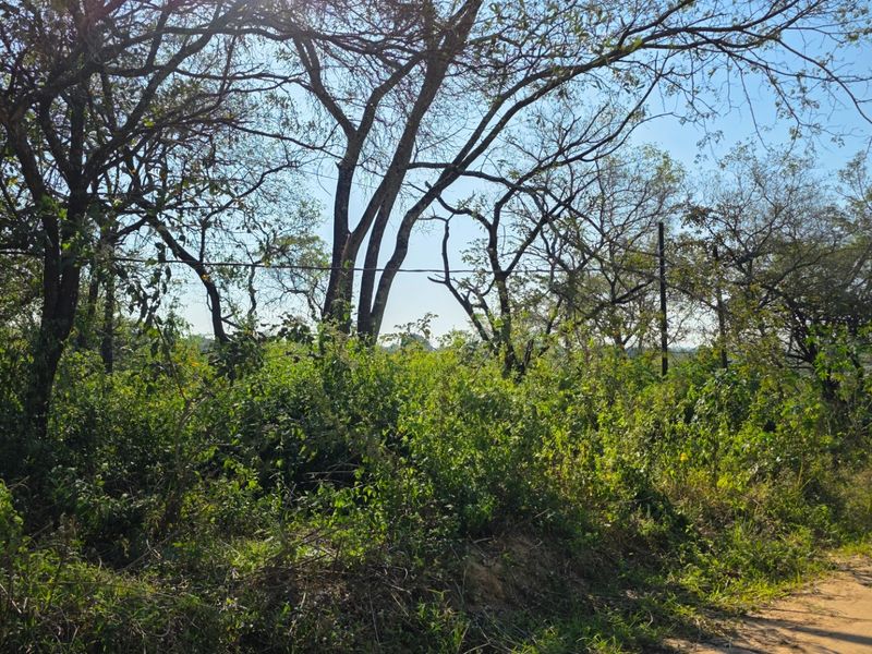 Build, Invest and Enjoy the Lowveld Lifestyle - Photo 3