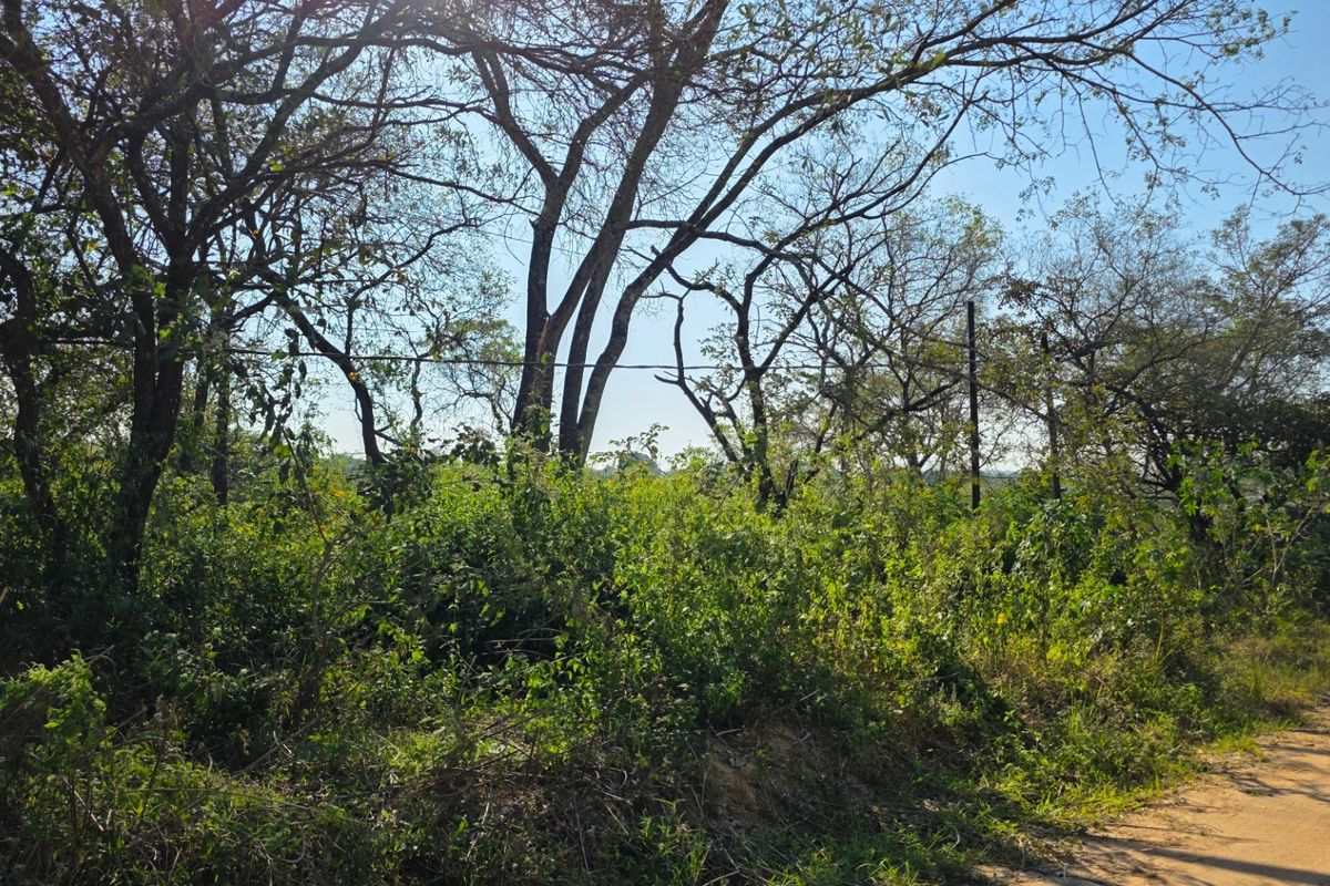 Build, Invest and Enjoy the Lowveld Lifestyle - Photo 3
