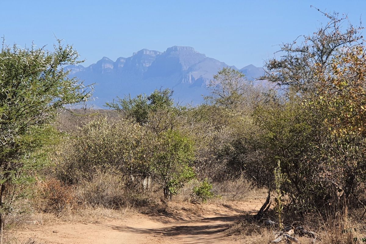 Superb  plot  in Raptor's View Wildlife Estate, Hoedspruit, new on the market - Photo 5