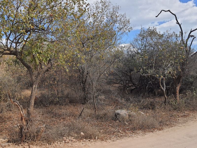 Superb  plot  in Raptor's View Wildlife Estate, Hoedspruit, new on the market - Photo 2
