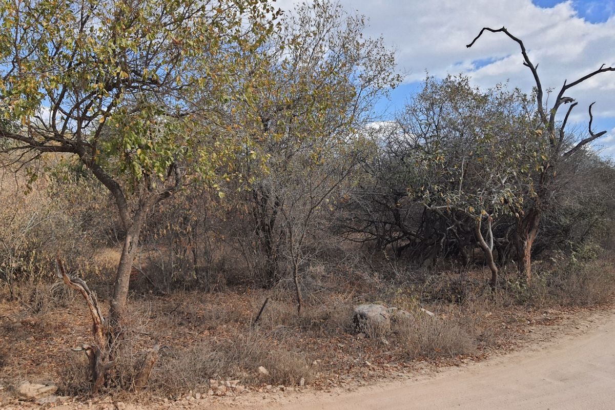 Superb  plot  in Raptor's View Wildlife Estate, Hoedspruit, new on the market - Photo 2