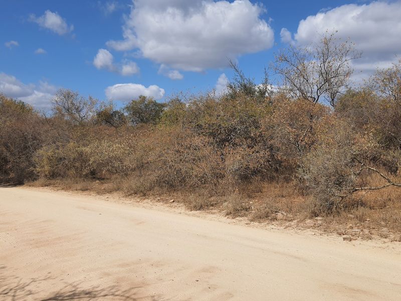 Superb  plot  in Raptor's View Wildlife Estate, Hoedspruit, new on the market - Photo 7
