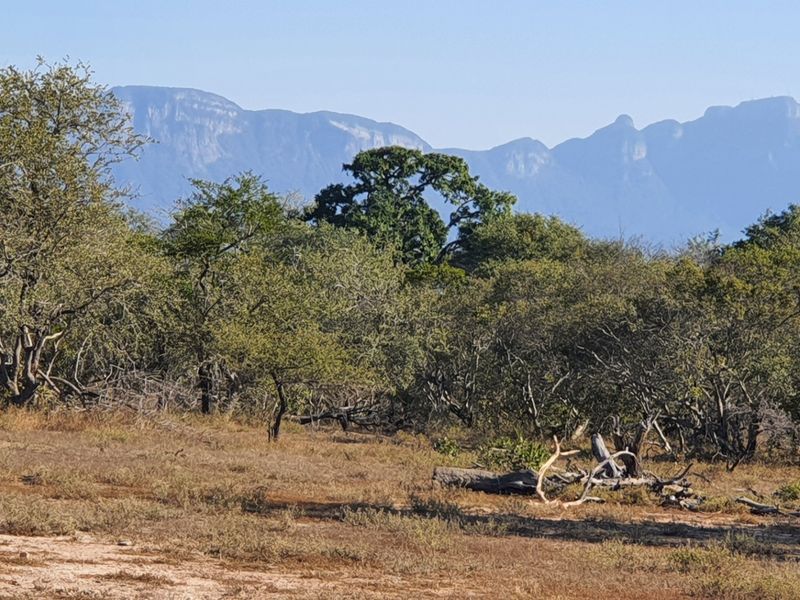 Two plots, >2 hectares, combined in Riversdale, Moditlo Wildlife Estate, Hoedspruit - Photo 1