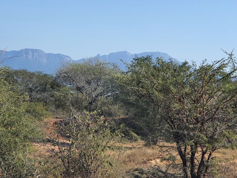 Two plots, >2 hectares, combined in Riversdale, Moditlo Wildlife Estate, Hoedspruit - Photo 10