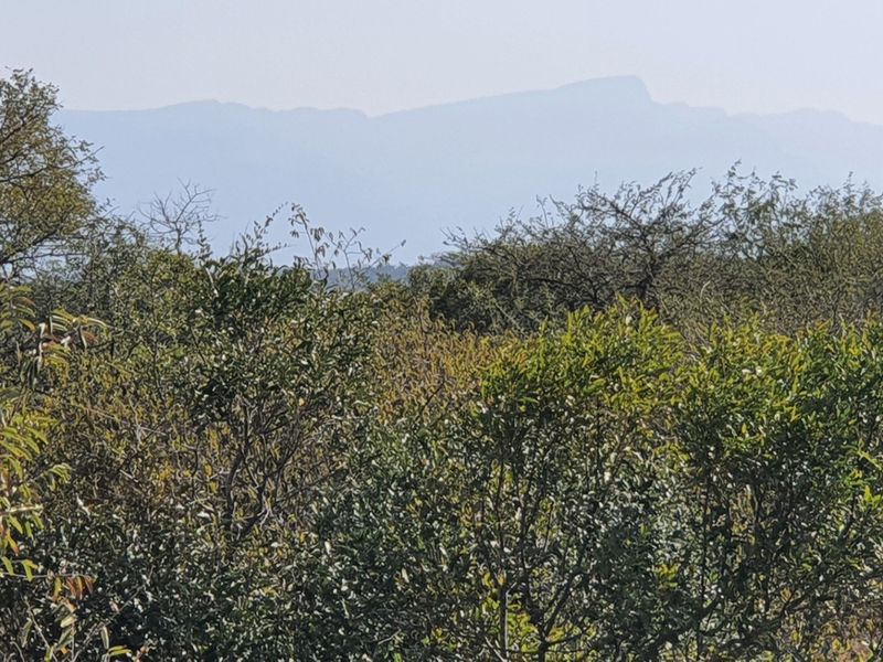 Two plots, >2 hectares, combined in Riversdale, Moditlo Wildlife Estate, Hoedspruit - Photo 4