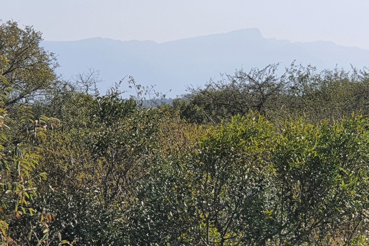 Two plots, >2 hectares, combined in Riversdale, Moditlo Wildlife Estate, Hoedspruit - Photo 4