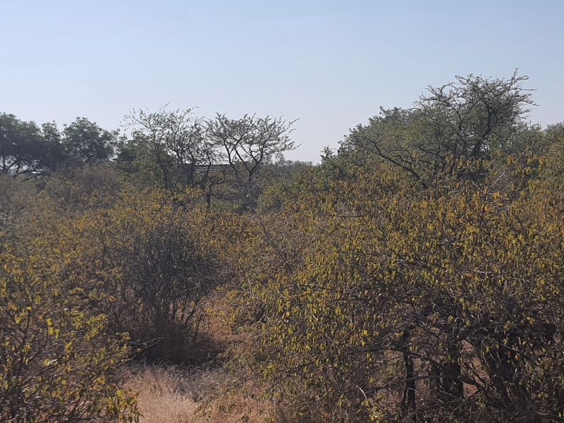 Two plots, >2 hectares, combined in Riversdale, Moditlo Wildlife Estate, Hoedspruit - Photo 8