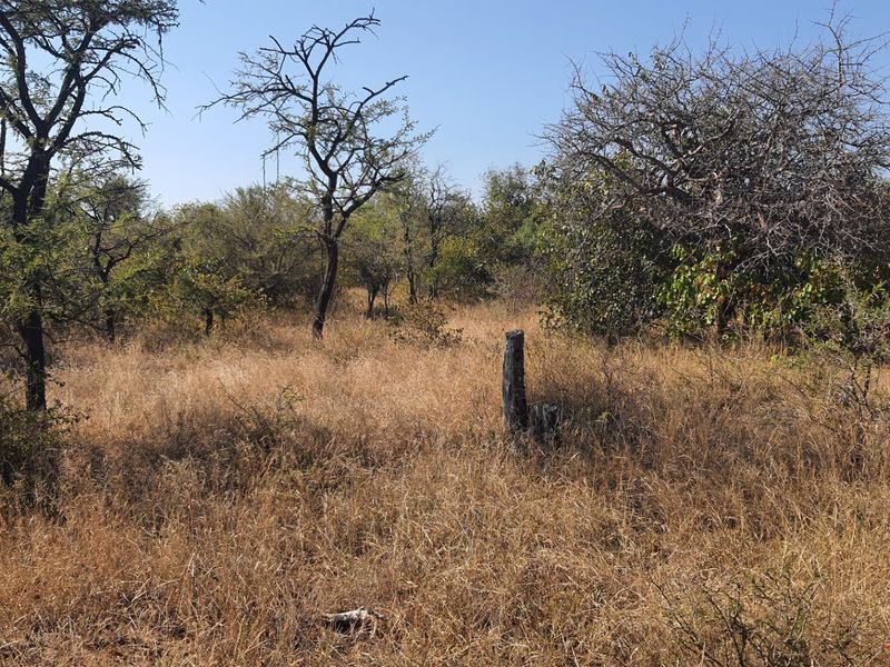 Two plots, >2 hectares, combined in Riversdale, Moditlo Wildlife Estate, Hoedspruit - Photo 5