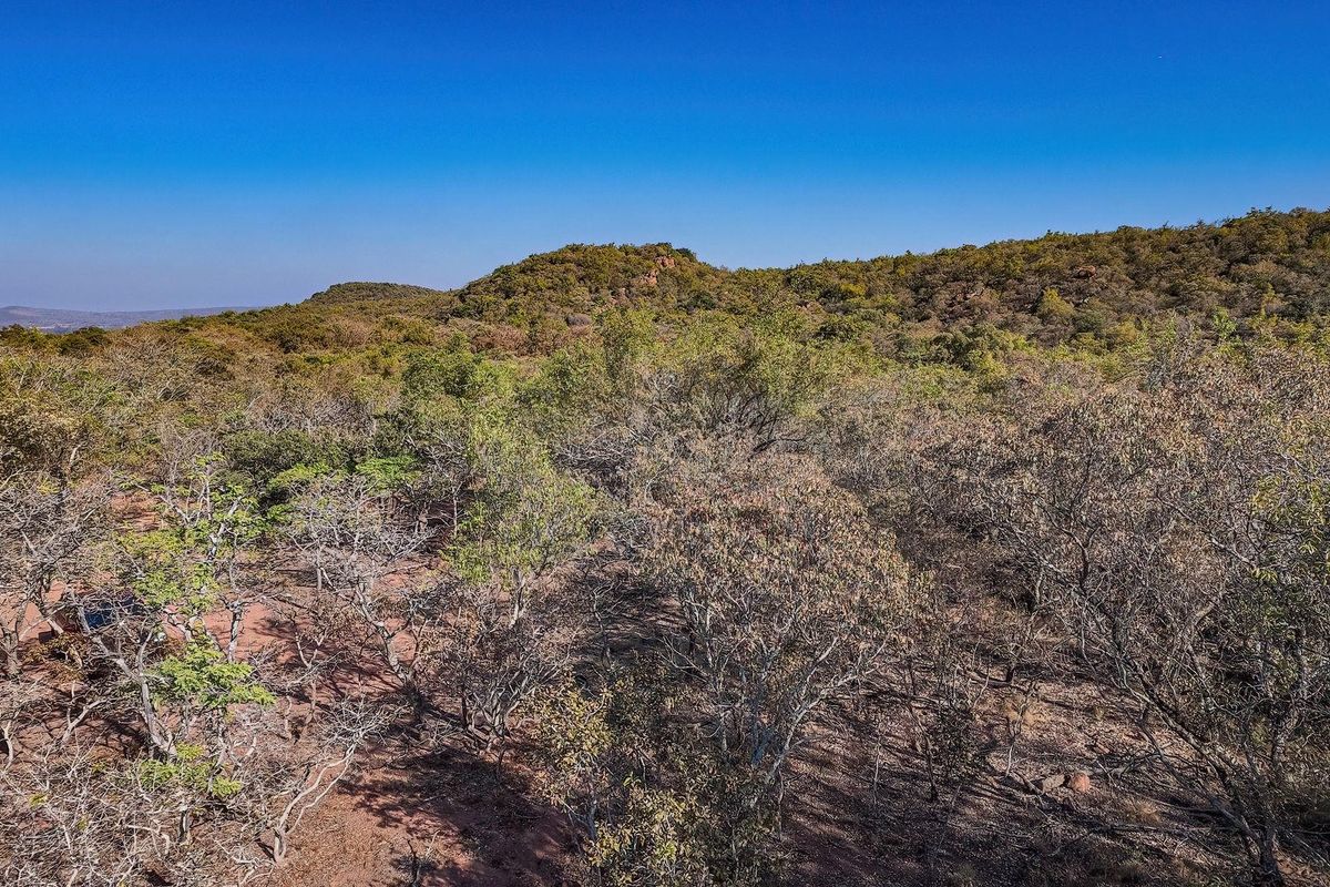 An elevated aerial view of the expansive natural landscape and indigenous vegetation characteristic of the farm property.