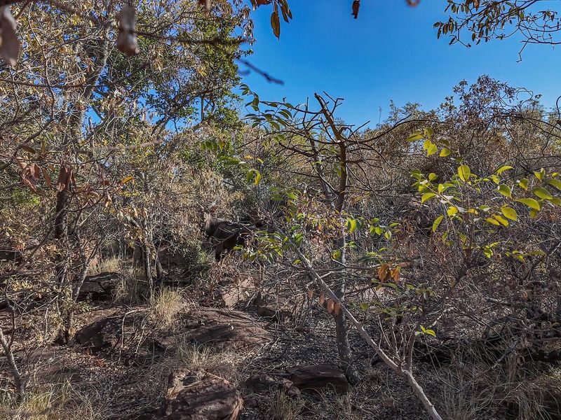 Farm For Sale in Boekenhoutskloof AH, Cullinan Rural, Cullinan - Photo 4