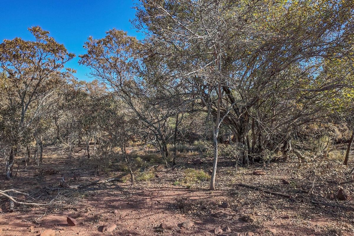 Farm For Sale in Boekenhoutskloof AH, Cullinan Rural, Cullinan - Photo 5