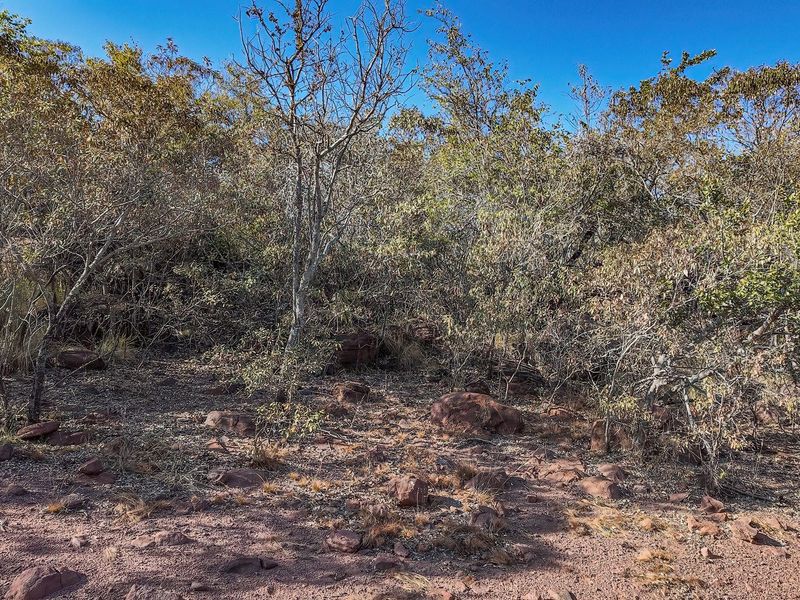 Farm For Sale in Boekenhoutskloof AH, Cullinan Rural, Cullinan - Photo 3