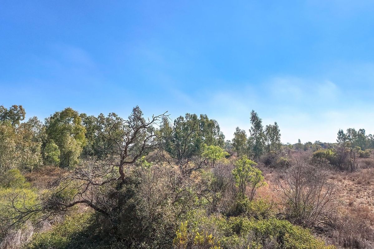 Farm For Sale in Kaallaagte, Dinokeng Game Reserve - Photo 4