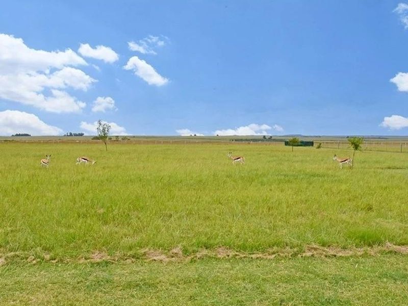 Country Estate for Sale, Middelburg - Photo 7