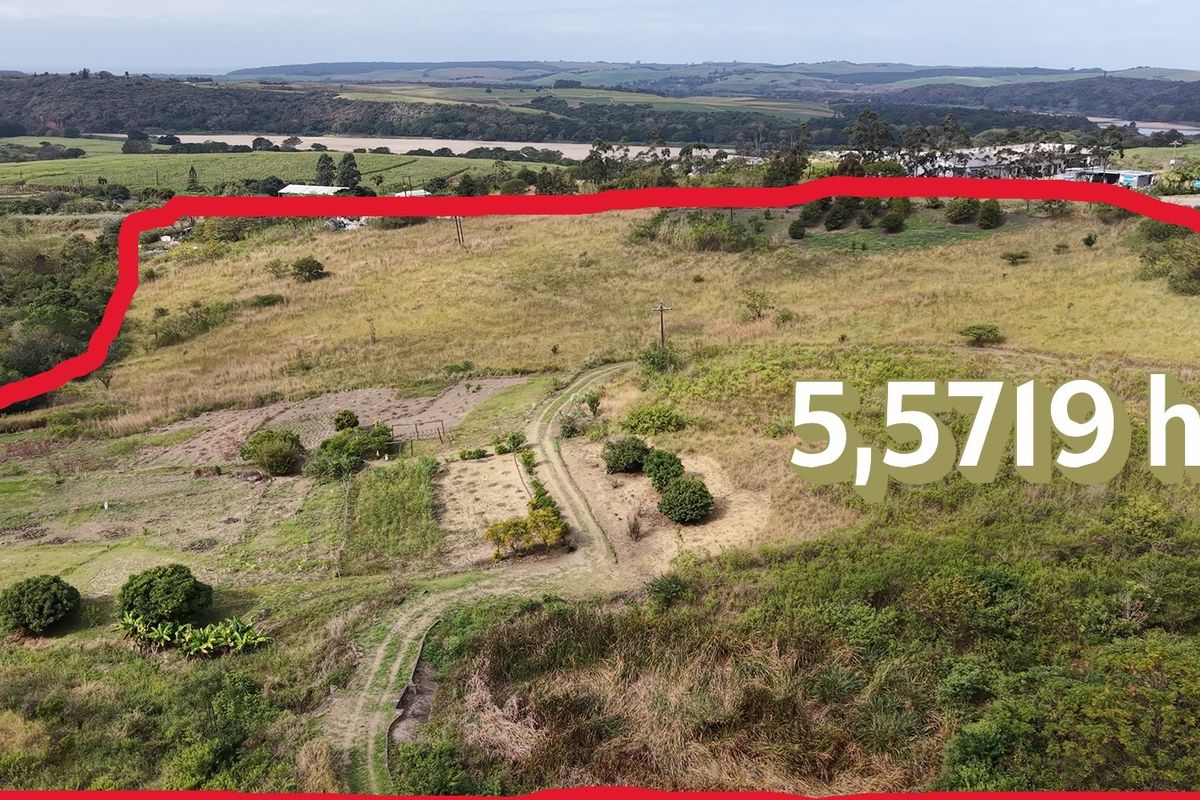PRESTIGIOUS AGRICULTURAL ESTATE WITH UNLIMITED GROWTH POTENTIAL - Photo 5