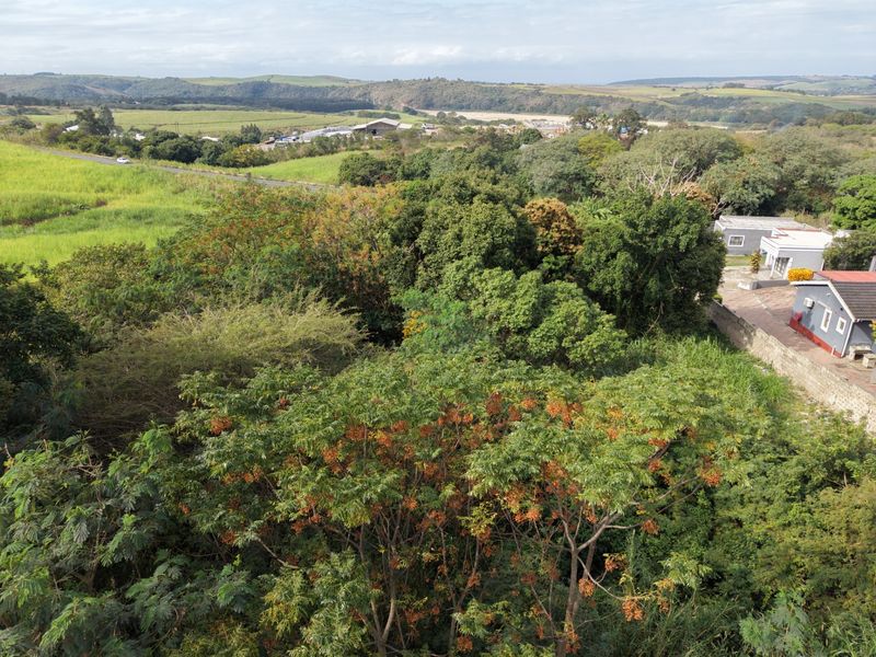 SECURE THIS PRIME LAND INVESTMENT OPPORTUNITY TODAY - Photo 6