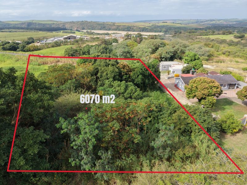SECURE THIS PRIME LAND INVESTMENT OPPORTUNITY TODAY - Photo 2