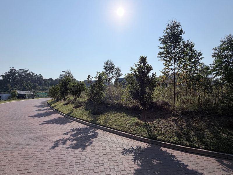 Plantations Elaleni Lifestyle Estate - Photo 9