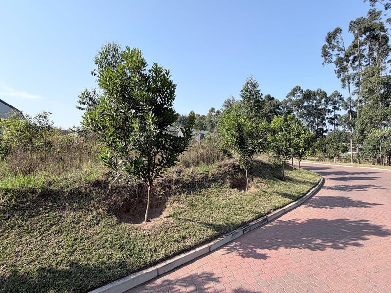 Plantations Elaleni Lifestyle Estate - Photo 2