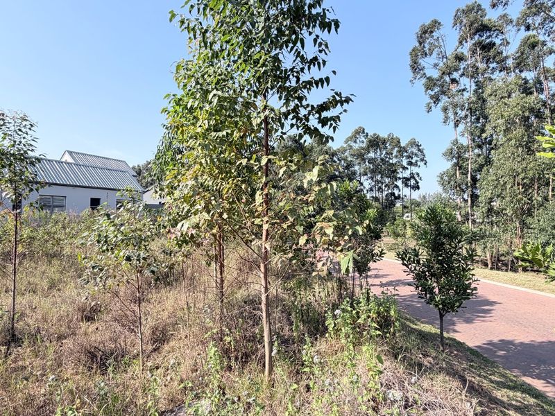 Plantations Elaleni Lifestyle Estate - Photo 4