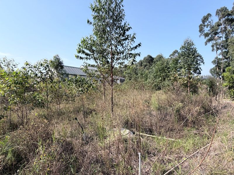 Plantations Elaleni Lifestyle Estate - Photo 3