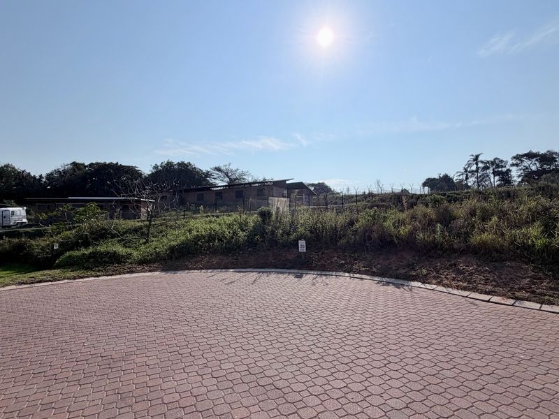 Vacant Land Elaleni Lifestyle Estate - Photo 7