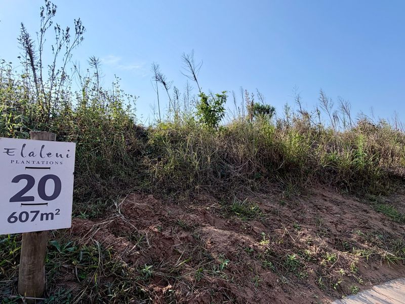 Vacant Land Elaleni Lifestyle Estate - Photo 8