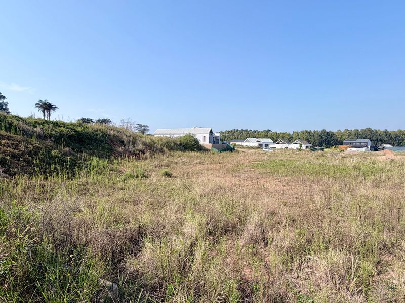 Vacant Land Elaleni Lifestyle Estate - Photo 2