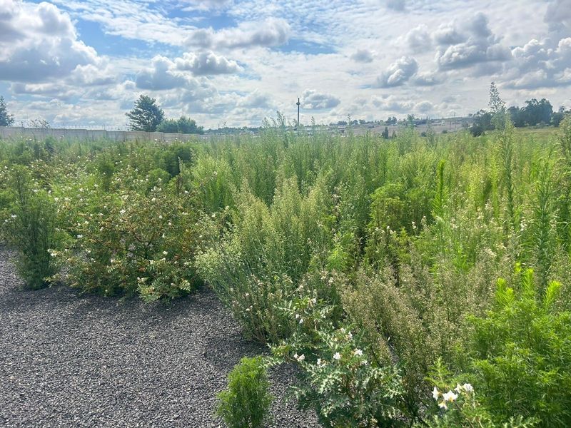 Vacant Land For Sale in Naauwpoort, Witbank - Photo 6