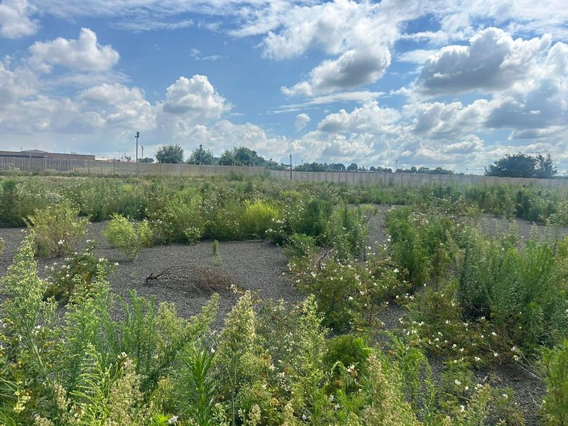Vacant Land For Sale in Naauwpoort, Witbank - Photo 4