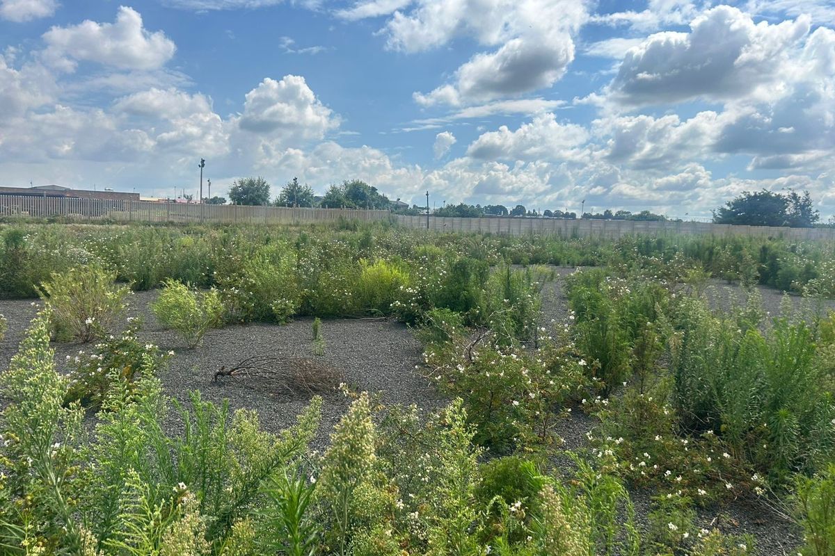Vacant Land For Sale in Naauwpoort, Witbank - Photo 4