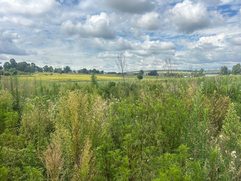 Vacant Land For Sale in Naauwpoort, Witbank - Photo 8