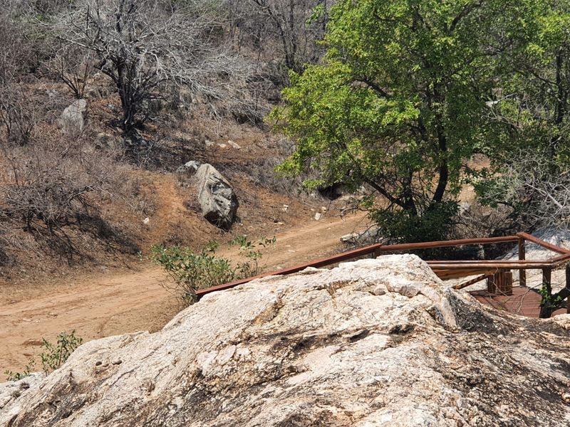 Vacant Land For Sale in Elephant Rock Eco Estate, Hoedspruit - Photo 8