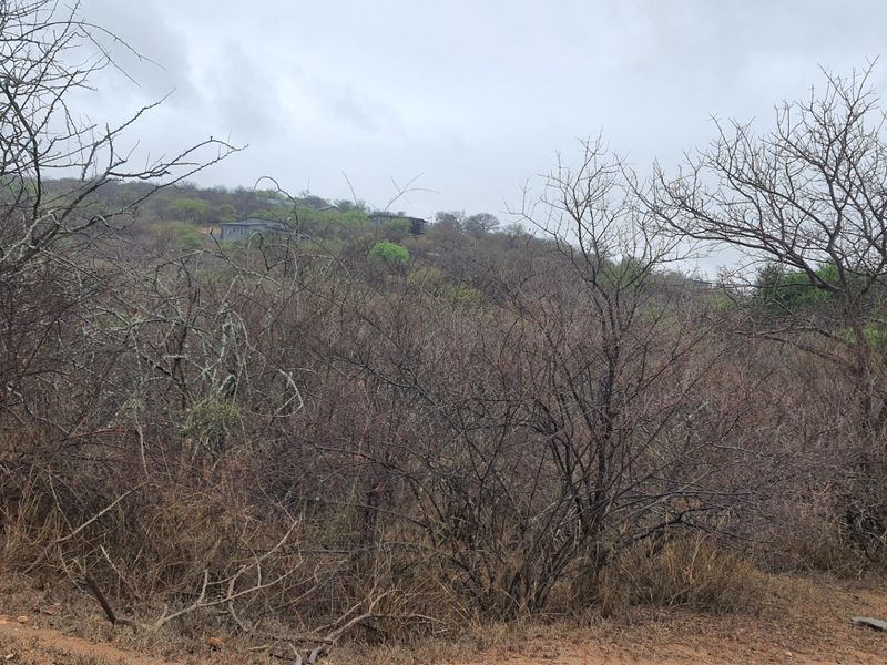 Vacant Land For Sale in Elephant Rock Eco Estate, Hoedspruit - Photo 5