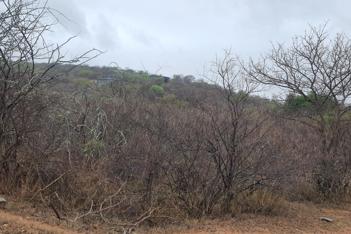 Vacant Land For Sale in Elephant Rock Eco Estate, Hoedspruit - Photo 5